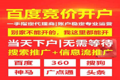 行业标杆：SEM推广代运营成功案例